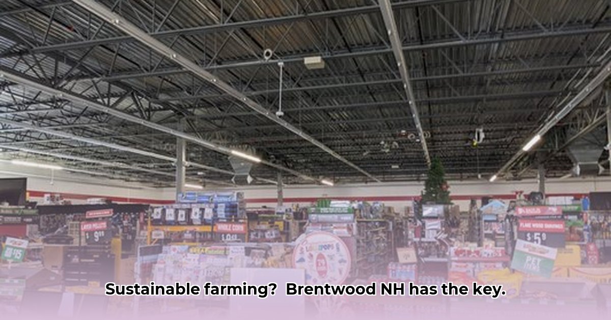 tractor-supply-brentwood-nh